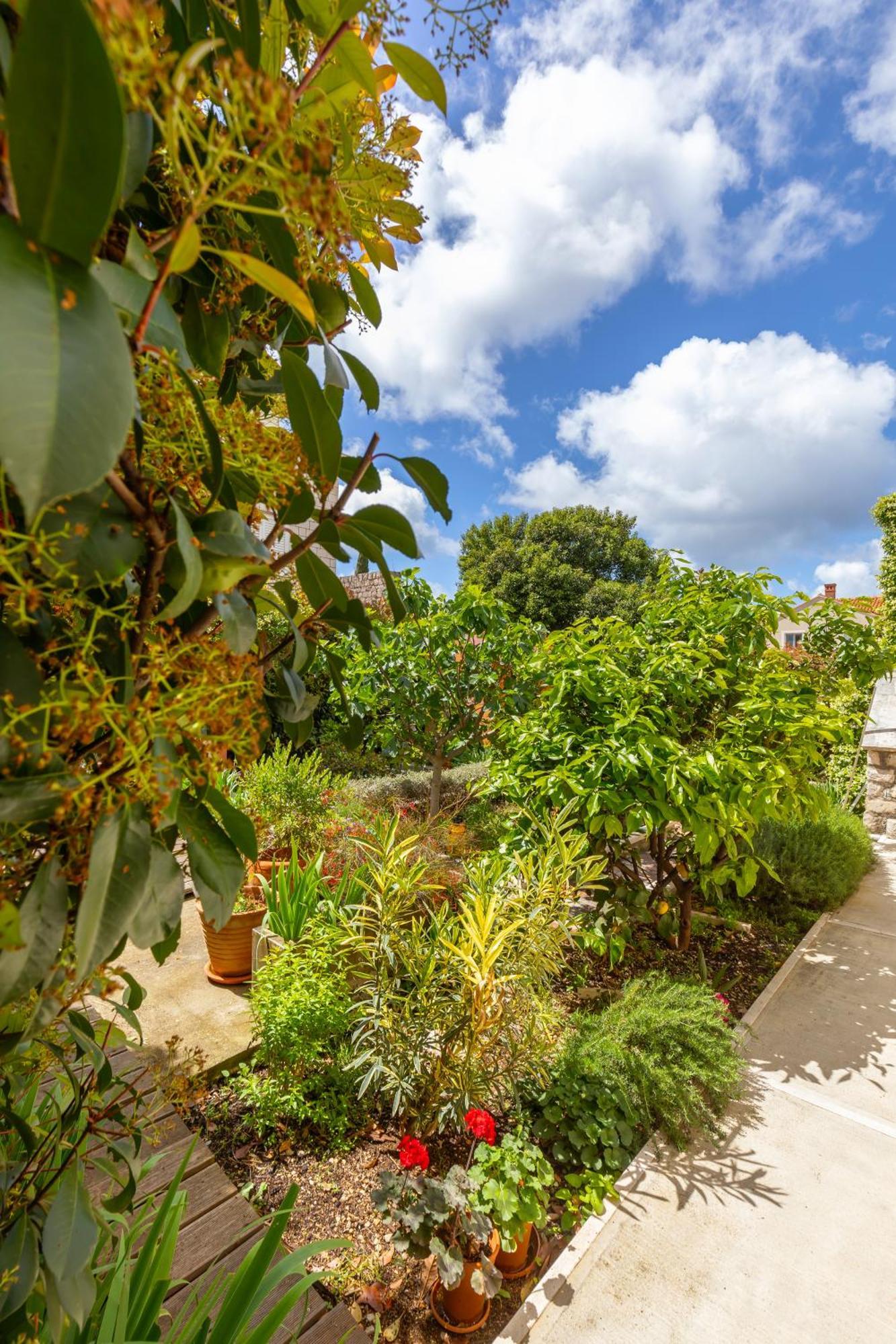 Art Gateway Apartman Dubrovnik